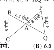 कक्षा 10 गणित पाठ 6 त्रिभुज चित्र 40