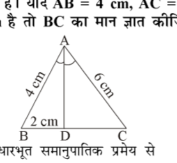 कक्षा 10 गणित पाठ 6 त्रिभुज चित्र 48