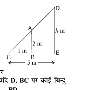 कक्षा 10 गणित पाठ 6 त्रिभुज चित्र 59