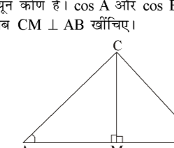 कक्षा 10 गणित पाठ 8 त्रिकोणमिति का परिचय चित्र 7
