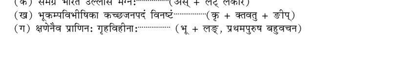 कक्षा 10 संस्कृत पाठ 9 भूकम्पविभीषिका चित्र 1