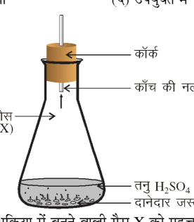 कक्षा 10 विज्ञान पाठ 1 रासायनिक अभिक्रियाएँ एवं समीकरण चित्र 2