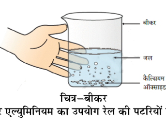 कक्षा 10 विज्ञान पाठ 1 रासायनिक अभिक्रियाएँ एवं समीकरण चित्र 5