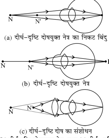 कक्षा 10 विज्ञान पाठ 10 मानव नेत्र तथा रंग-बिरंगा संसार चित्र 1