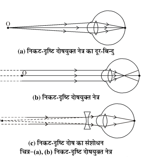 कक्षा 10 विज्ञान पाठ 10 मानव नेत्र तथा रंग-बिरंगा संसार चित्र 11