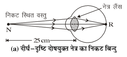कक्षा 10 विज्ञान पाठ 10 मानव नेत्र तथा रंग-बिरंगा संसार चित्र 12