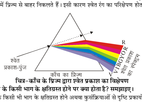 कक्षा 10 विज्ञान पाठ 10 मानव नेत्र तथा रंग-बिरंगा संसार चित्र 4