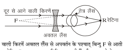 कक्षा 10 विज्ञान पाठ 10 मानव नेत्र तथा रंग-बिरंगा संसार चित्र 5