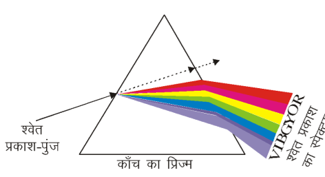 कक्षा 10 विज्ञान पाठ 10 मानव नेत्र तथा रंग-बिरंगा संसार चित्र 6