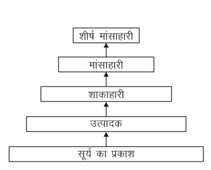 कक्षा 10 विज्ञान पाठ 13 हमारा पर्यावरण चित्र 1