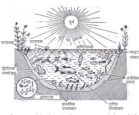 कक्षा 10 विज्ञान पाठ 13 हमारा पर्यावरण चित्र 2