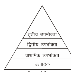 कक्षा 10 विज्ञान पाठ 13 हमारा पर्यावरण चित्र 3