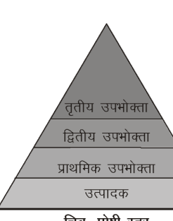 कक्षा 10 विज्ञान पाठ 13 हमारा पर्यावरण चित्र 6