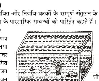 कक्षा 10 विज्ञान पाठ 13 हमारा पर्यावरण चित्र 7