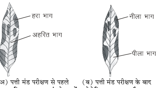कक्षा 10 विज्ञान पाठ 5 जैव प्रक्रम चित्र 15