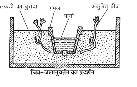 कक्षा 10 विज्ञान पाठ 6 नियंत्रण एवं समन्वय चित्र 1