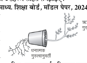 कक्षा 10 विज्ञान पाठ 6 नियंत्रण एवं समन्वय चित्र 3