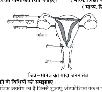 कक्षा 10 विज्ञान पाठ 7 जीव जनन कैसे करते हैं चित्र 8