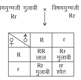 कक्षा 10 विज्ञान पाठ 8 आनुवंशिकता चित्र 10