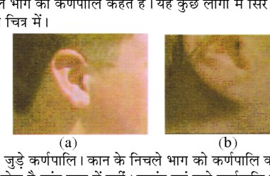 कक्षा 10 विज्ञान पाठ 8 आनुवंशिकता चित्र 9