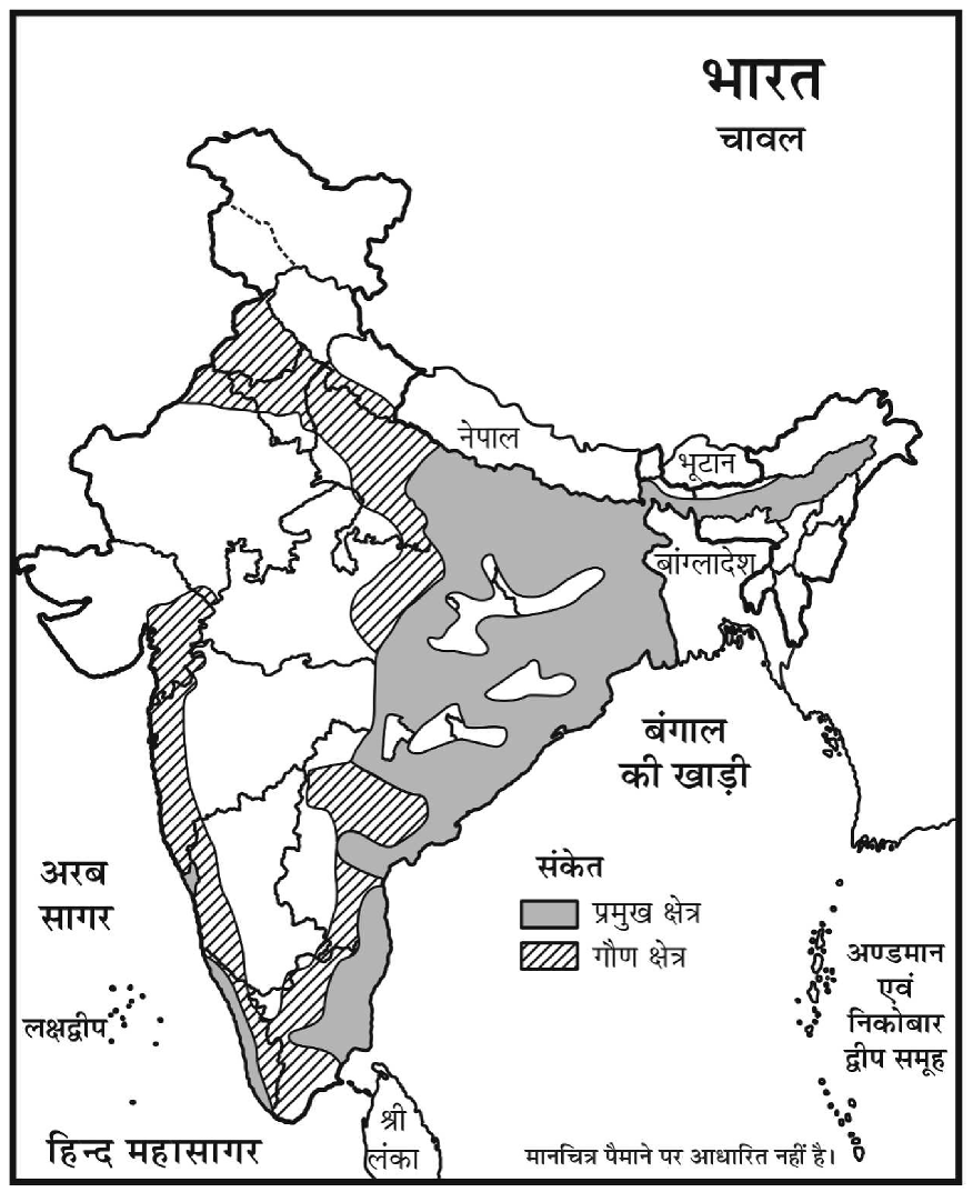 कक्षा 10 सामाजिक विज्ञान पाठ 22 उपभोक्ता अधिकार चित्र 6