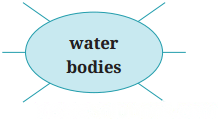 The Winner Diagram 2