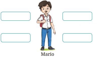 The Chair Diagram 6