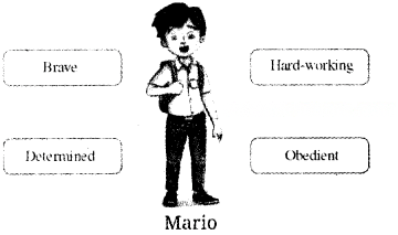 The Chair Diagram 7