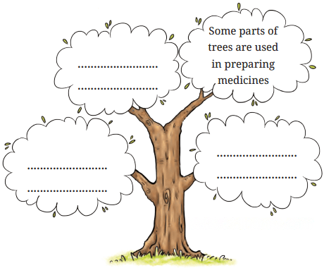 Neem Baba Diagram 1