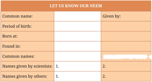Neem Baba Diagram 3