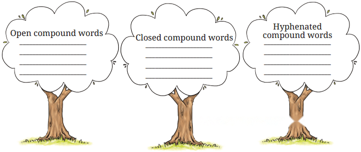 Neem Baba Diagram 4
