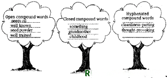 Neem Baba Diagram 5