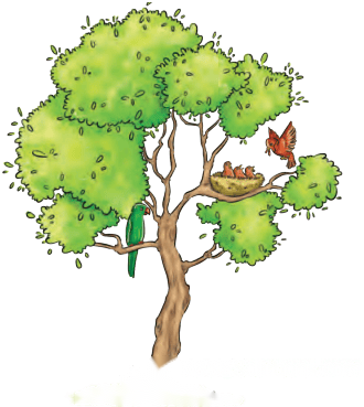 What a Bird Thought Diagram 1