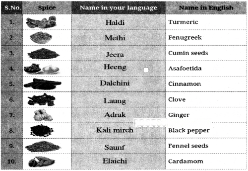 Spices That Heal Us Diagram 2