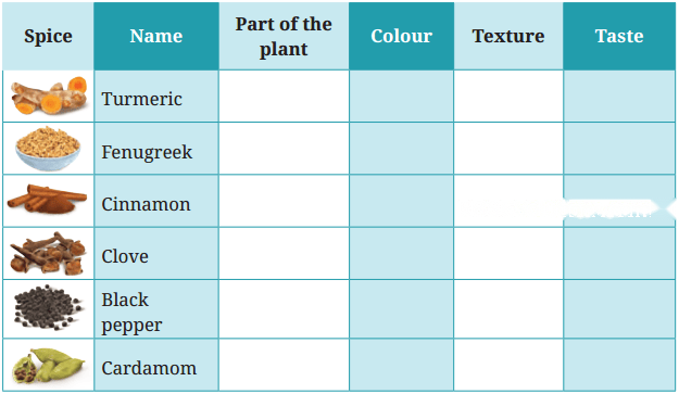 Spices That Heal Us Diagram 3