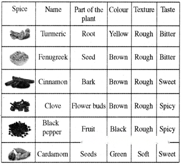 Spices That Heal Us Diagram 4