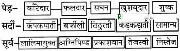 पेड़ की बात Diagram 6