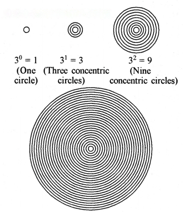 Patterns in Mathematics Diagram 11