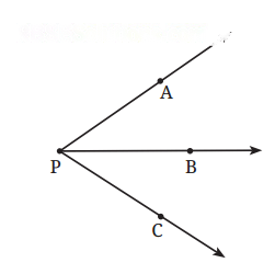 Lines and Angles Diagram 10