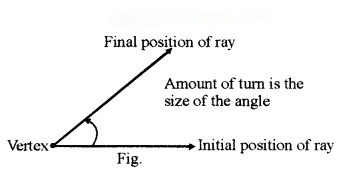 Lines and Angles Diagram 13