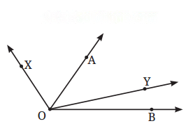 Lines and Angles Diagram 19