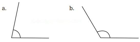 Lines and Angles Diagram 38