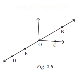 Lines and Angles Diagram 5