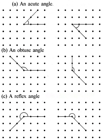 Lines and Angles Diagram 60
