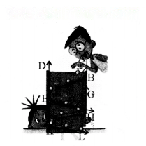 रेखाएँ और कोण Diagram 51