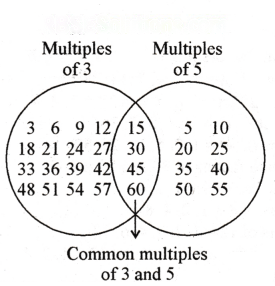 Prime Time Diagram 2