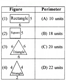 Perimeter and Area Diagram 17
