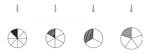 Fractions Diagram 12