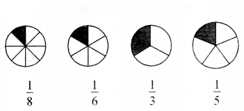 Fractions Diagram 13