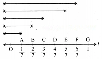 Fractions Diagram 15